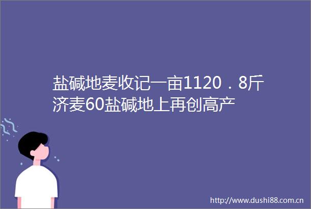 盐碱地麦收记一亩1120．8斤济麦60盐碱地上再创高产