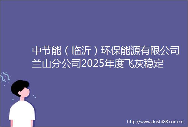 中节能（临沂）环保能源有限公司兰山分公司2025年度飞灰稳定化处理服务公开招标招标公告