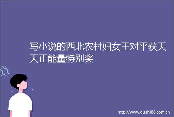 写小说的西北农村妇女王对平获天天正能量特别奖