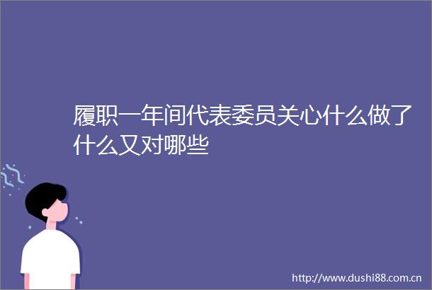 履职一年间代表委员关心什么做了什么又对哪些