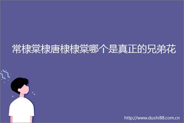 常棣棠棣唐棣棣棠哪个是真正的兄弟花