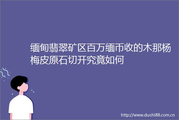 缅甸翡翠矿区百万缅币收的木那杨梅皮原石切开究竟如何