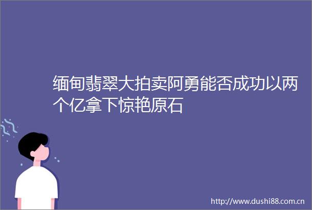 缅甸翡翠大拍卖阿勇能否成功以两个亿拿下惊艳原石
