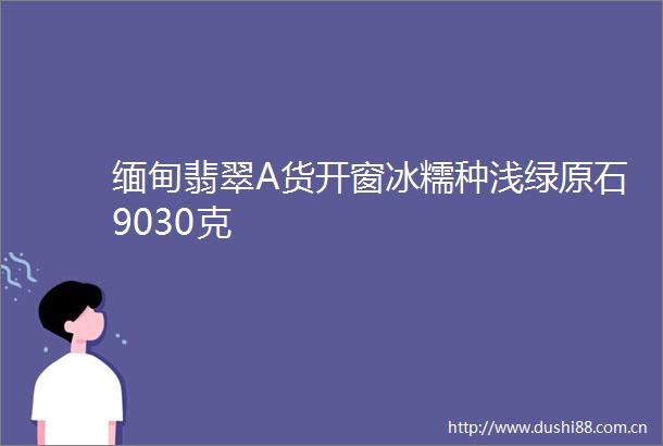 缅甸翡翠A货开窗冰糯种浅绿原石9030克