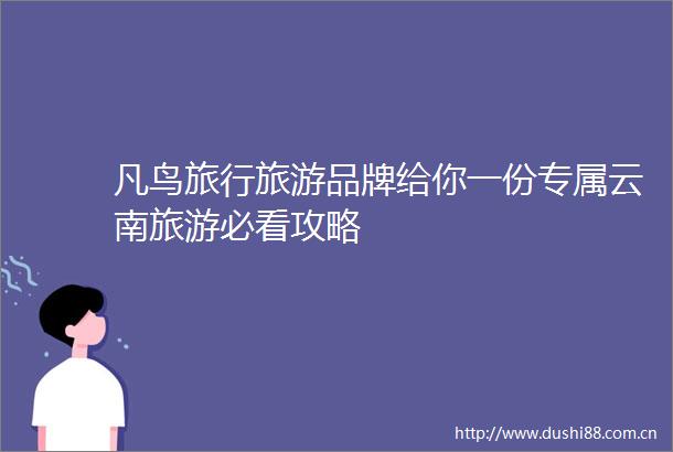 凡鸟旅行旅游品牌给你一份专属云南旅游必看攻略