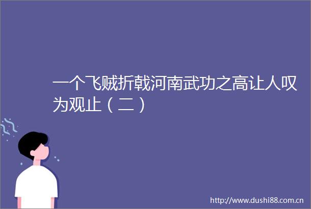 一个飞贼折戟河南武功之高让人叹为观止（二）
