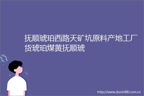 抚顺琥珀西路天矿坑原料产地工厂货琥珀煤黄抚顺琥
