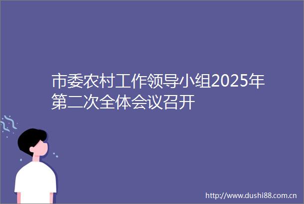 市委农村工作小组2025年第二次全体会议召开