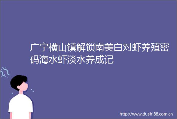 广宁横山镇解锁南美白对虾养殖密码海水虾淡水养成记