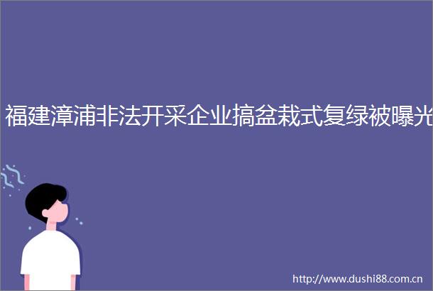 福建漳浦开采企业搞盆栽式复绿被
