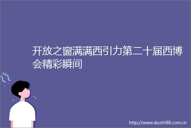开放之窗满满西引力第二十届西博会精彩瞬间