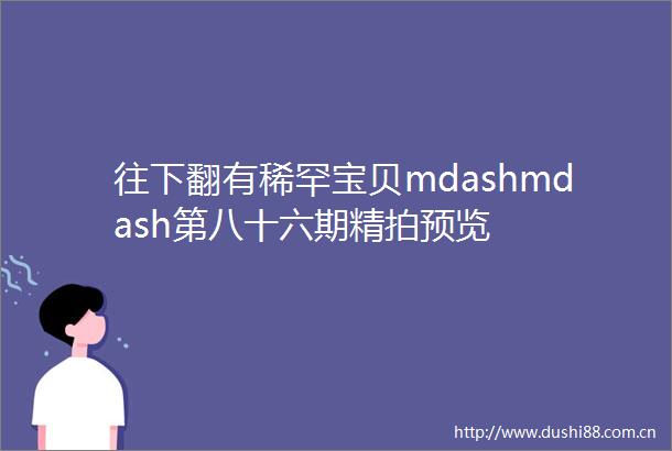 往下翻有稀罕宝贝mdashmdash第八十六期精拍预览
