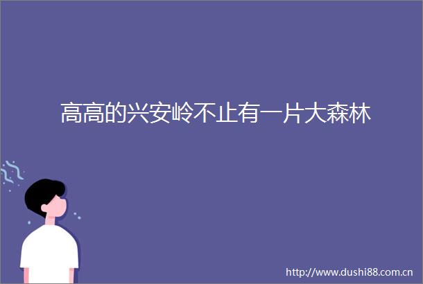 高高的兴安岭不止有一片大森林