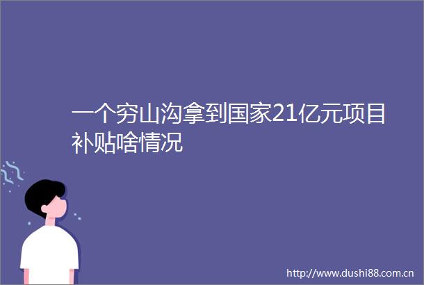 一个穷山沟拿到21亿元项目补贴啥情况