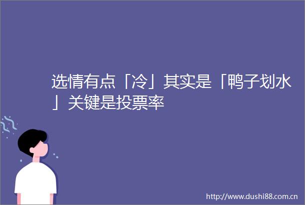 选情有点「冷」其实是「鸭子划水」关键是投票率