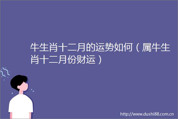 牛生肖十二月的运势如何（属牛生肖十二月份财运）