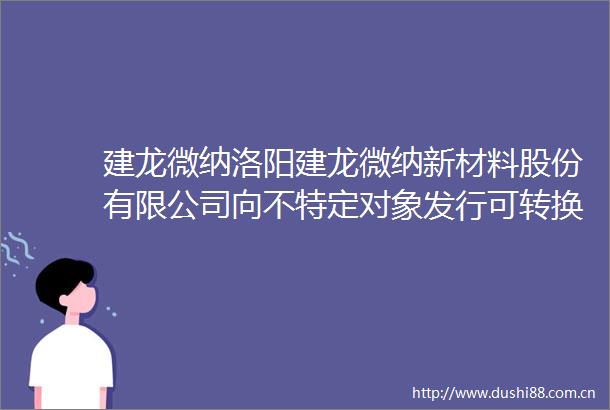 建龙微纳洛阳建龙微纳新材料股份有限公司向不特定对象发行可转换公司债券受托管理事务报告（2024年度）