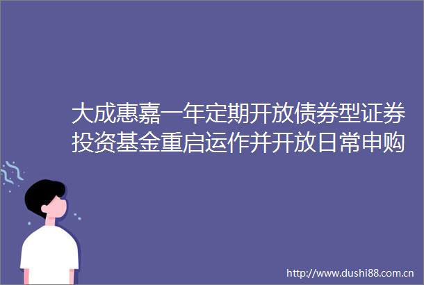 大成惠嘉一年定期开放债券型证券投资基金重启运作并开放日常申购赎回及转换业务的公告