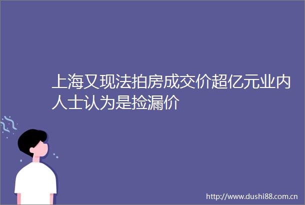 上海又现法拍房成交价超亿元业内人士认为是捡漏价