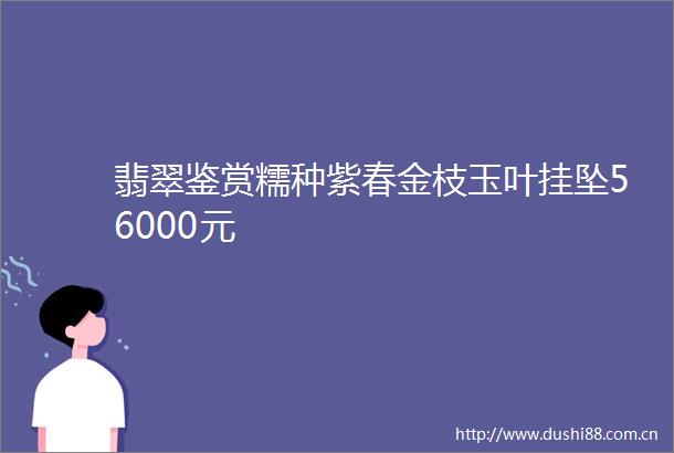 翡翠鉴赏糯种紫春金枝玉叶挂坠56000元