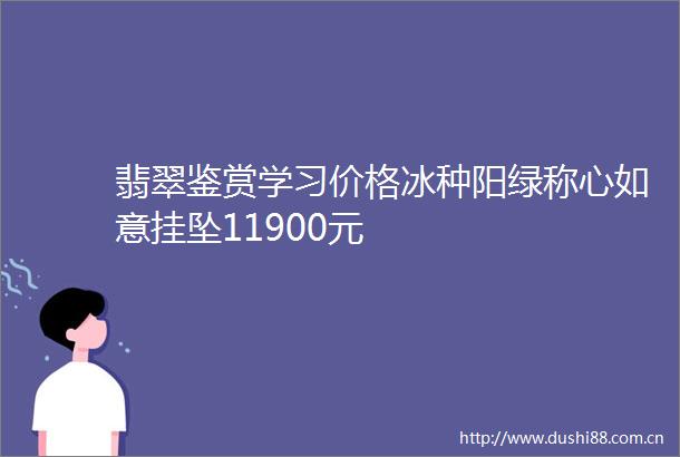 翡翠鉴赏学习价格冰种阳绿称心如意挂坠11900元