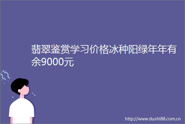 翡翠鉴赏学习价格冰种阳绿年年有余9000元