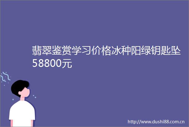 翡翠鉴赏学习价格冰种阳绿钥匙坠58800元