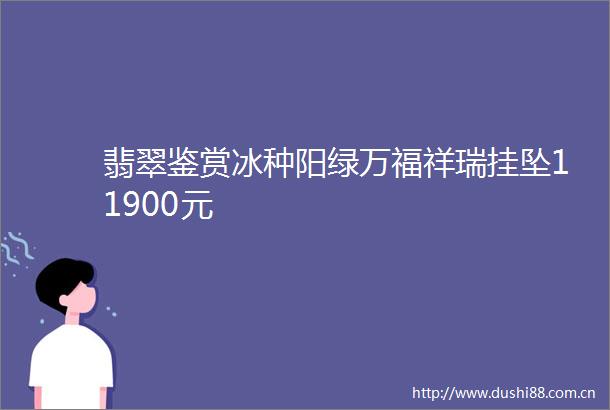 翡翠鉴赏冰种阳绿万福祥瑞挂坠11900元