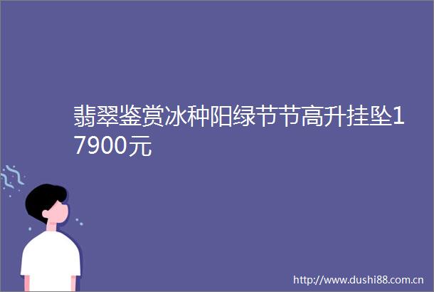 翡翠鉴赏冰种阳绿节节高升挂坠17900元