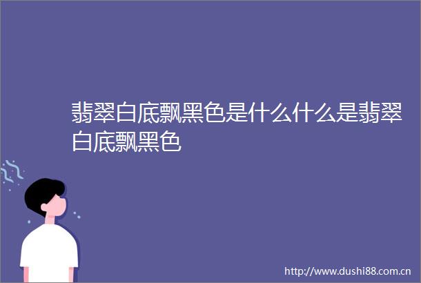 翡翠白底飘黑色是什么什么是翡翠白底飘黑色