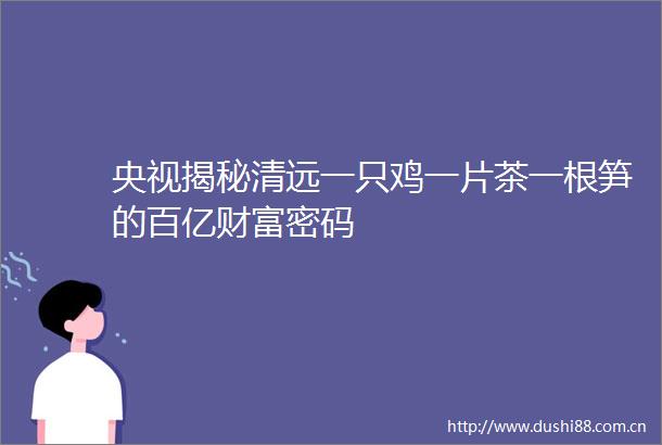 央视揭秘清远一只鸡一片茶一根笋的百亿财富密码