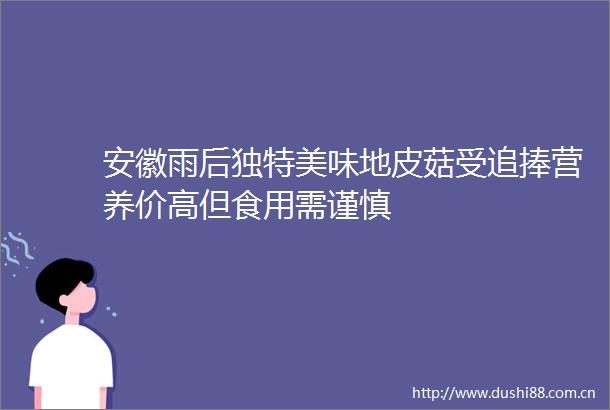 安徽雨后独特美味地皮菇受追捧营养价高但食用需谨慎
