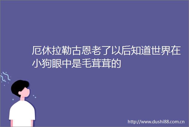 厄休拉勒古恩老了以后知道世界在小狗眼中是毛茸茸的