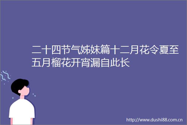 二十四节气姊妹篇十二月花令夏至五月榴花开宵漏自此长