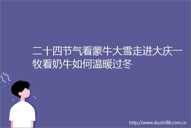 二十四节气看蒙牛大雪走进大庆一牧看奶牛如何温暖过冬
