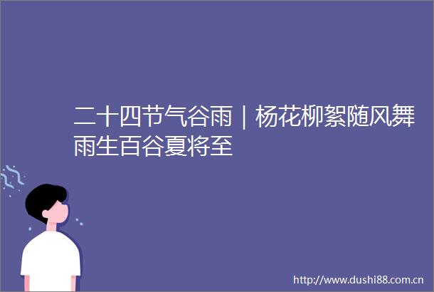二十四节气谷雨｜杨花柳絮随风舞雨生百谷夏将至