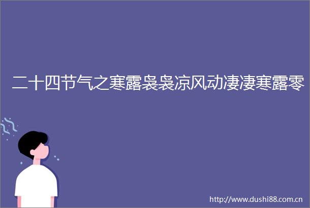 二十四节气之寒露袅袅凉风动凄凄寒露零