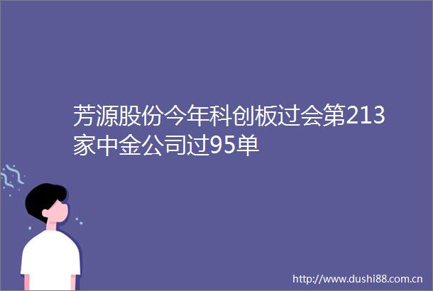 芳源股份今年科创板过会第213家中金公司过95单