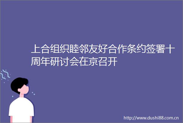 上合组织睦邻友好合作条约签署十周年研讨会在京召开