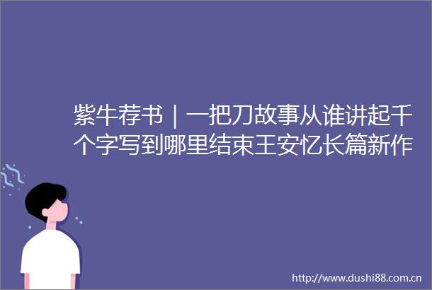 紫牛荐书｜一把刀故事从谁讲起千个字写到哪里结束王安忆长篇新作一把刀千个字出版