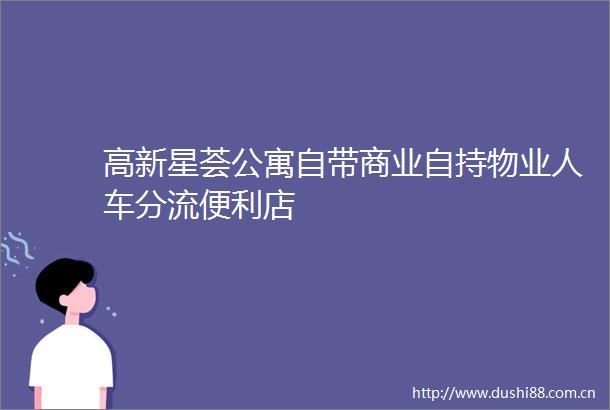 高新星荟公寓自带商业自持物业人车分流便利店