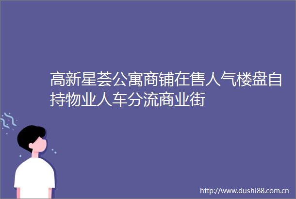 高新星荟公寓商铺在售人气楼盘自持物业人车分流商业街