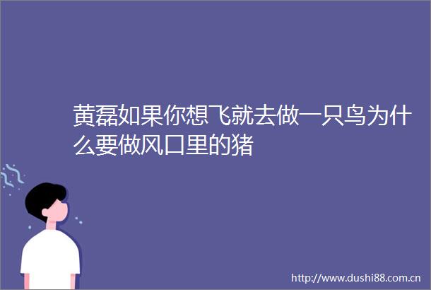 黄磊如果你想飞就去做一只鸟为什么要做风口里的猪