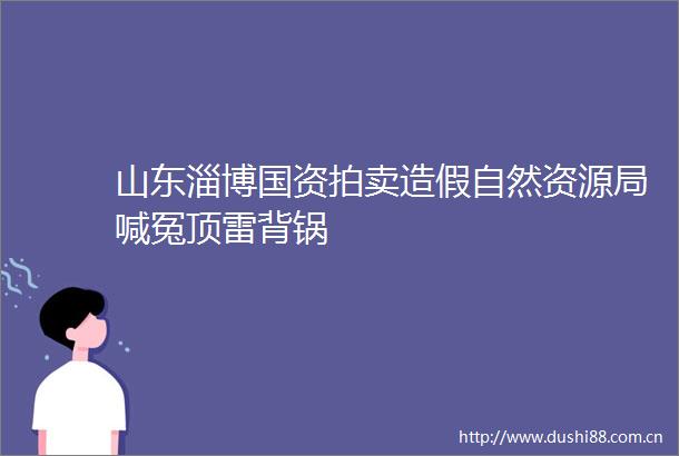山东淄博国资拍卖自然资源局喊冤顶雷背锅