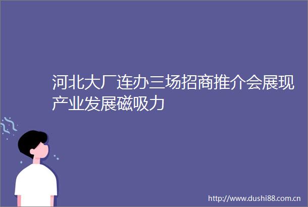 河北大厂连办三场招商推介会展现产业发展磁吸力