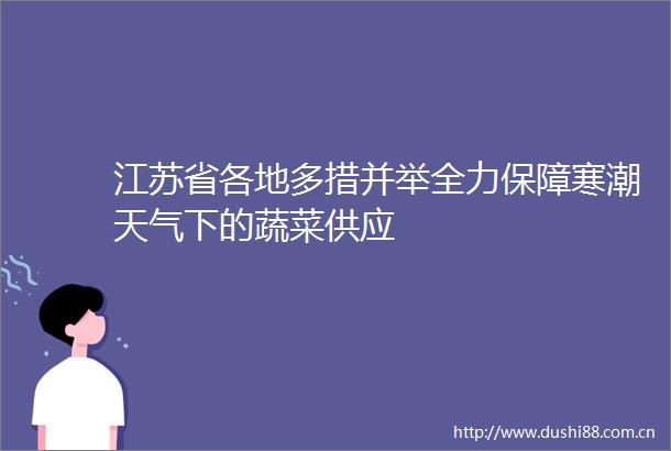江苏省各地多措并举全力保障寒潮天气下的蔬菜供应