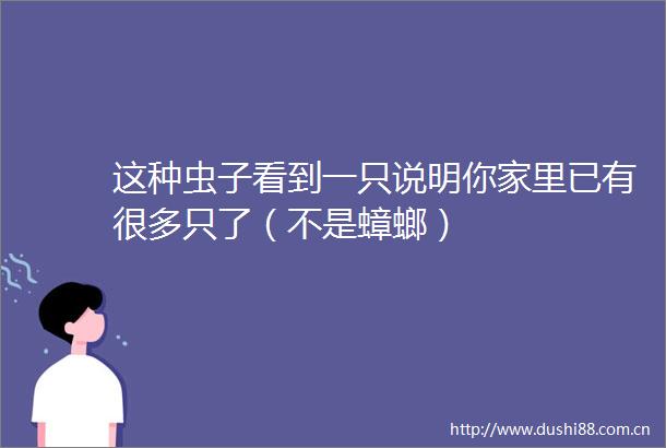 这种虫子看到一只说明你家里已有很多只了（不是蟑螂）