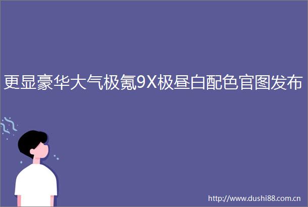 更显豪华大气极氪9X极昼白配色官图发布