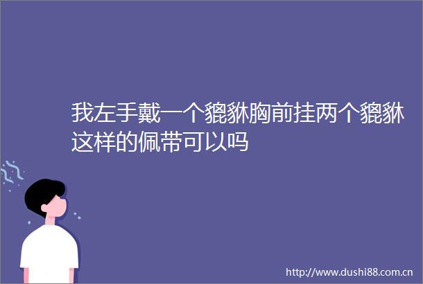 我左手戴一个貔貅胸前挂两个貔貅这样的佩带可以吗