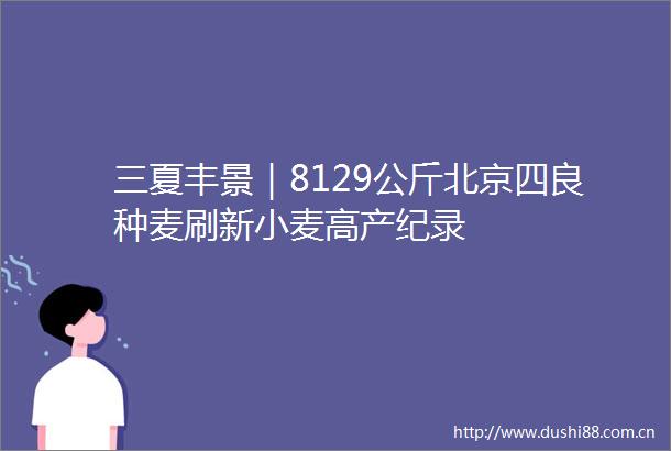 三夏丰景｜8129公斤北京四良种麦刷新小麦高产纪录